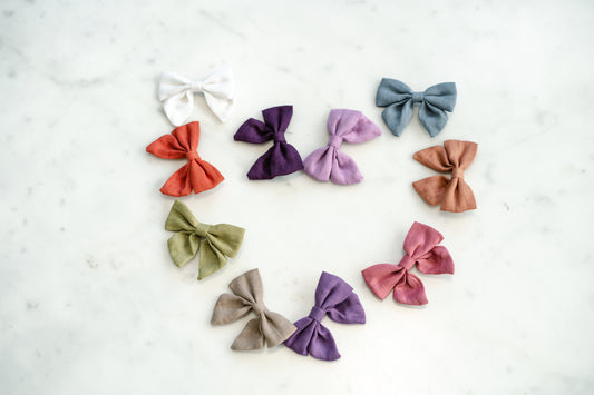 Hair Bow Clip Set